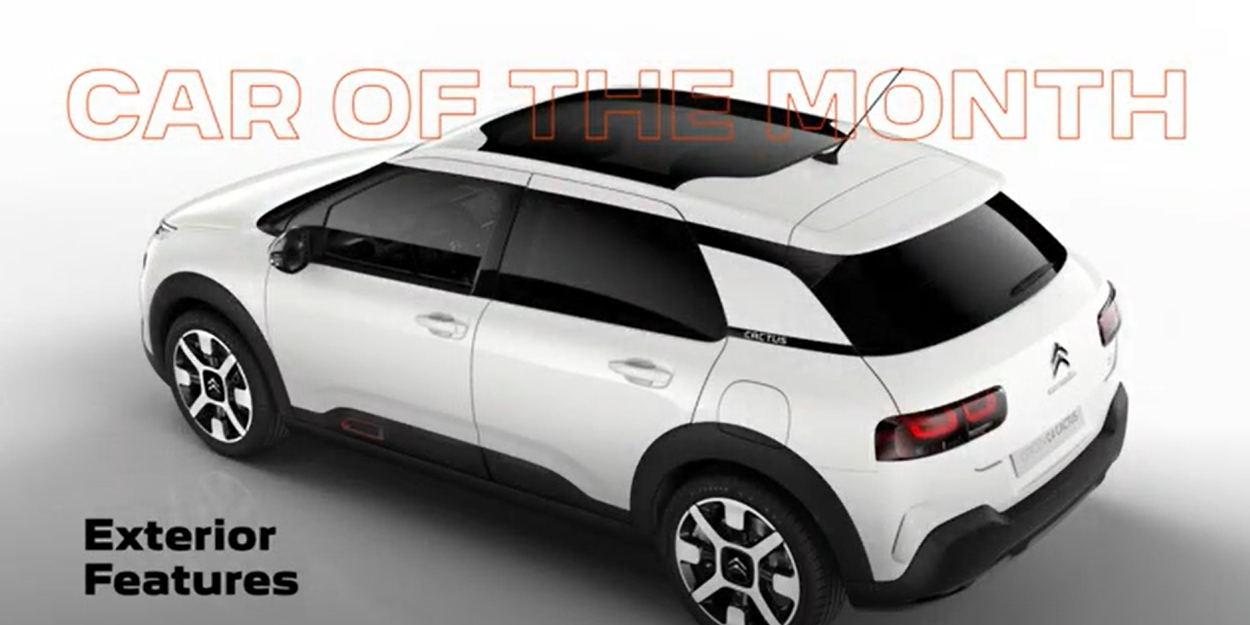 2022 11 27 18 53 43 Vlog C4 Cactus exterior features.mp4 Google Drive 2