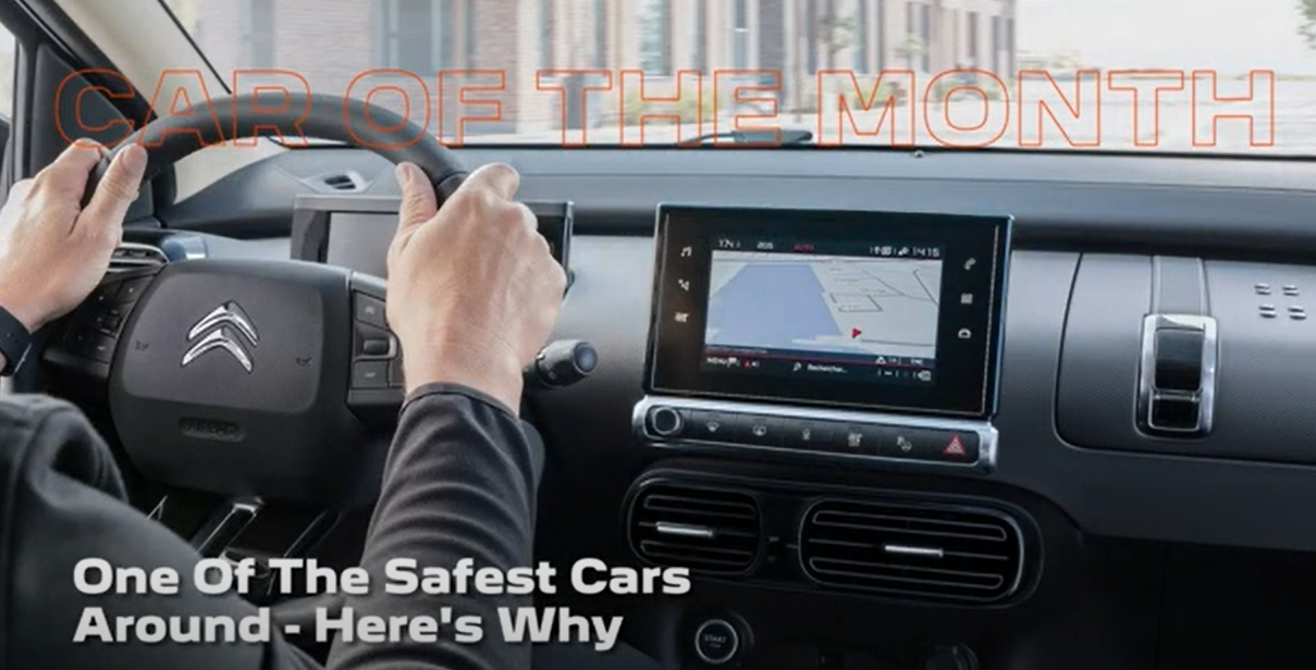 2022 12 13 12 54 03 Vlog C4 Cactus safety.mp4 Google Drive 2
