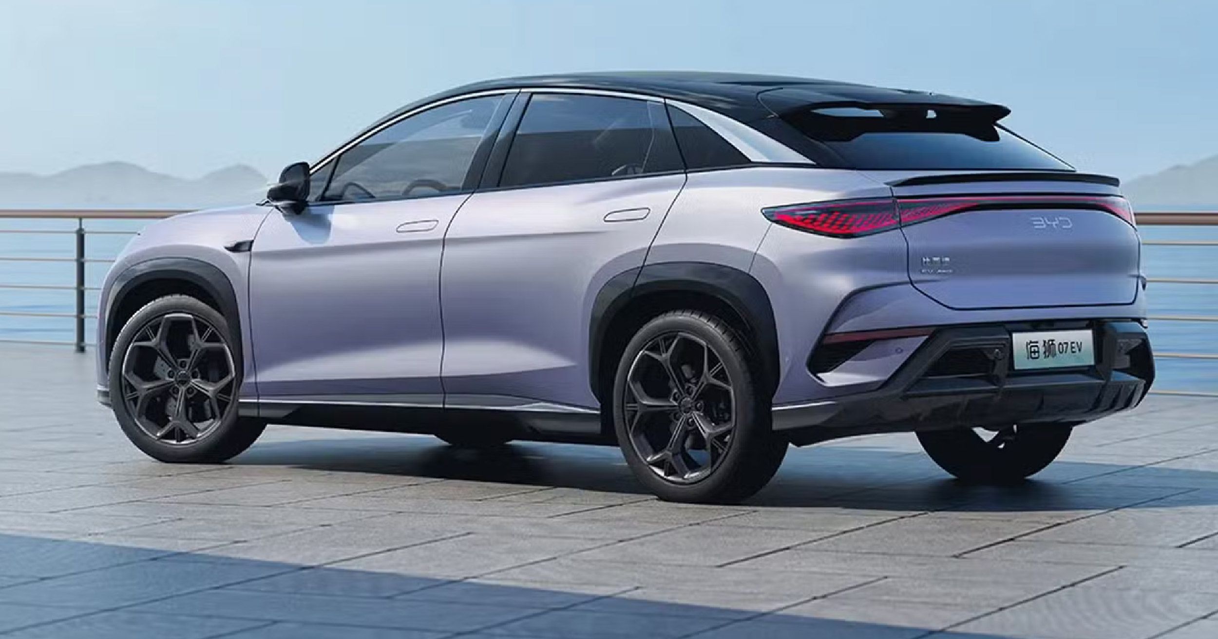 Byd sealion article imgs 03